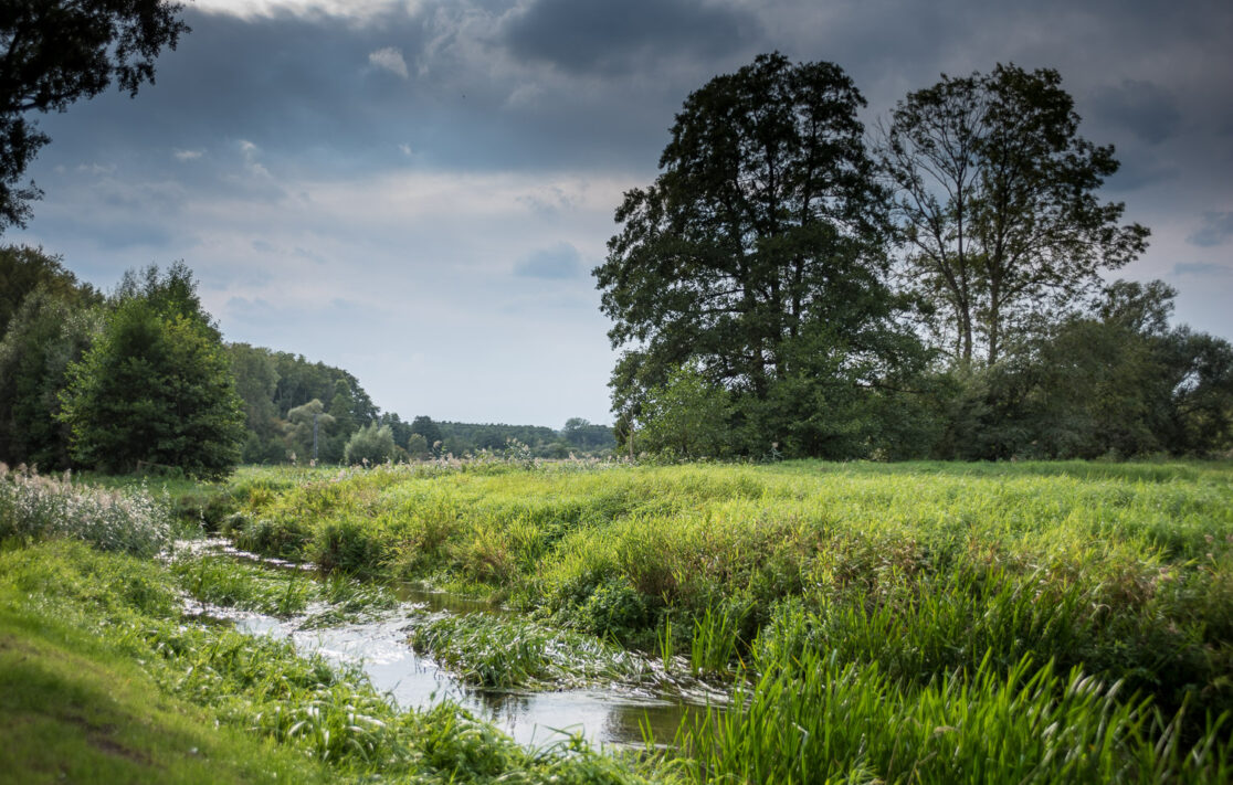Natur Sternberger Seeland