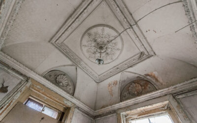 Schloss Raben Steinfeld Schloss Raben Steinfeld